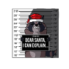 Raccoon christmas prison gift