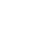 schnauzer géant