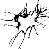 Glass breakage black