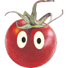Funny tomato with eyes