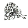 Lions