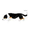 dreverdiamonds3