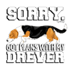 dreverplans