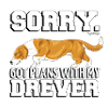 dreverplans2