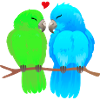 Parrot Love Couple