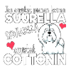 Coton De Tuléar PieniSuuri
