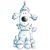 Mignon Caniche - Chien - Chiens