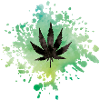 weed hemp