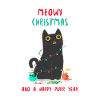 Meowy Christmas cat Christmas gift