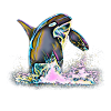 Orca