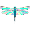 dragon-fly