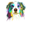 Australian Shepherd