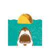 hai taco