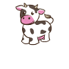 cow