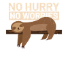 sloth