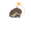 Hedgehog