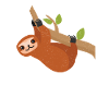 sloth
