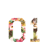 King 01