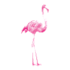 flamingo pink