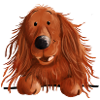 Drôle Setter irlandais rouge