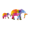 elefant baby