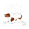 Brazilian Terrier Love3