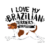 Brazilian Terrier Love2