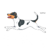 braziliandiamonds5