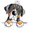 Großer Schweizer Sennenhund