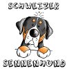 Großer Schweizer Sennenhund