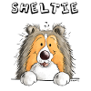 Funny Sheltie Dog - Dogs - Comic