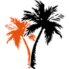 palm trees