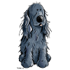 Sweet Cocker Spaniel