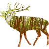 cerf