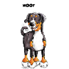 Woof Appenzeller Sennenhund