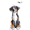 Funny Greater Swiss Mountain Dog
