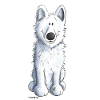 Schweizer Schäferhund