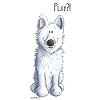 Schweizer Schäferhund Play