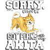 akitaplans3