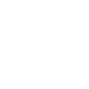chauffeur