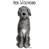 Funny Irish Wolfhound - comic - dog - cartoon
