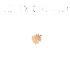 Pyro Salut tut gut