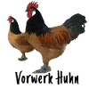 Vorwerk chicken