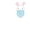 Doux lapin kawaii en sac