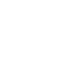 Otter
