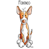 Mignon Podenco - Chien - Chiens