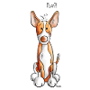 Podenco Play