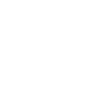 Otter