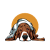Basset Hound