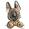 Mignon Malinois - Chien - Chiens